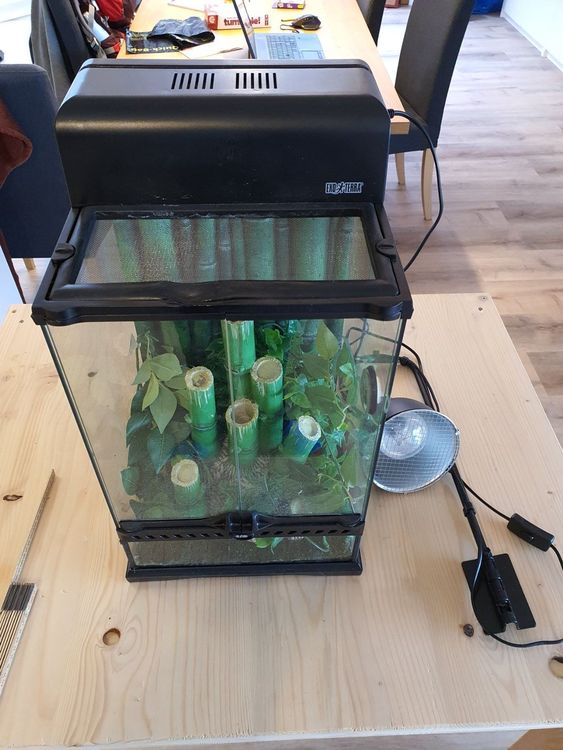 exo terrarium kaufen