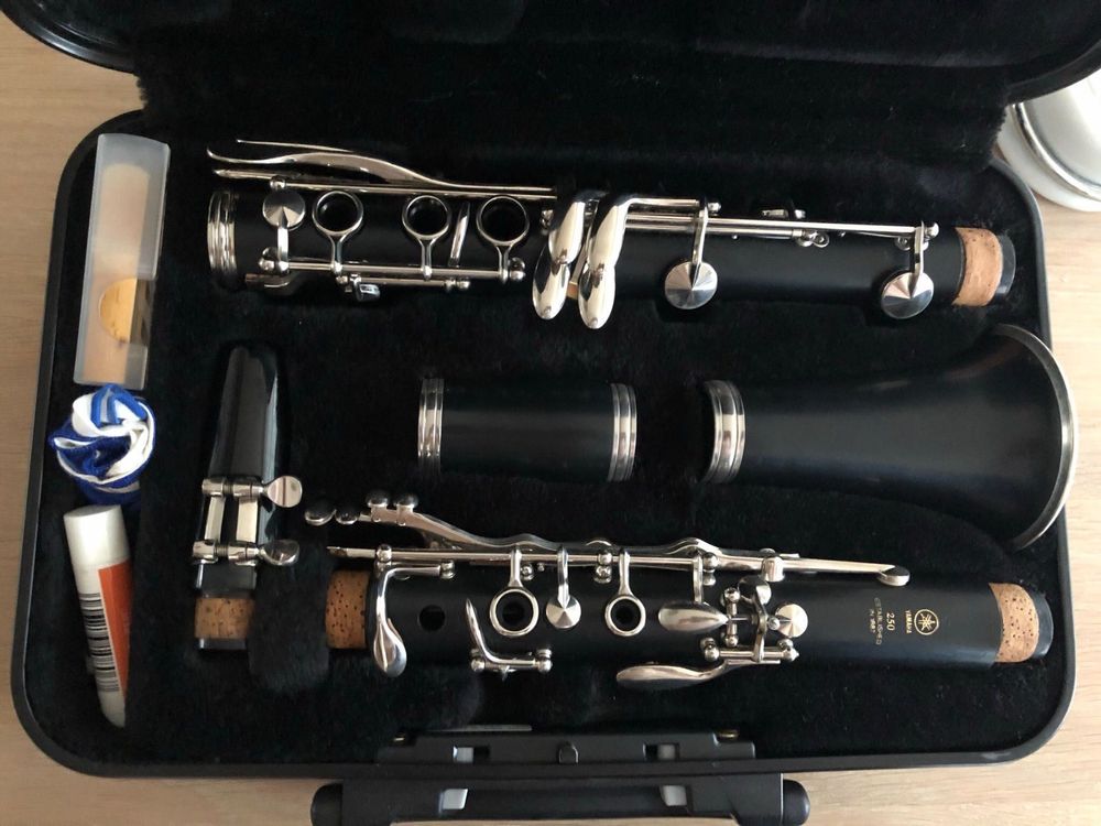 Yamaha 250 Kaufen auf Ricardo