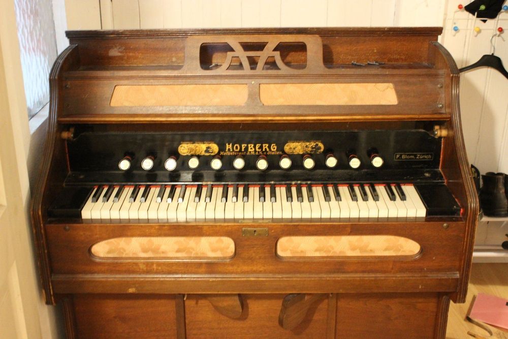 Harmonium Hofberg Kaufen auf Ricardo