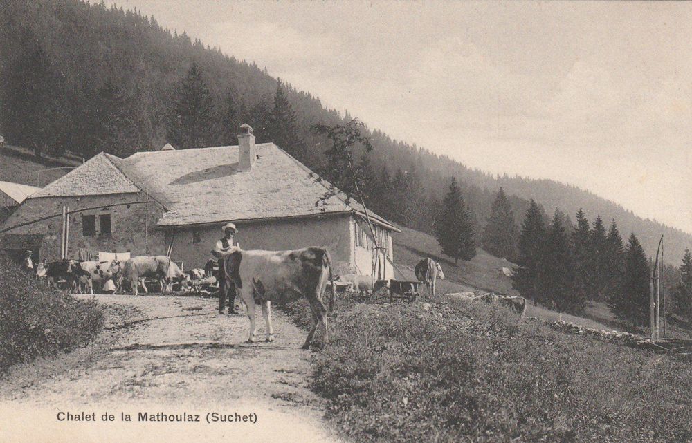 Orbe,VD,Chalet de la Mathoulaz,Suchet, Acheter sur Ricardo