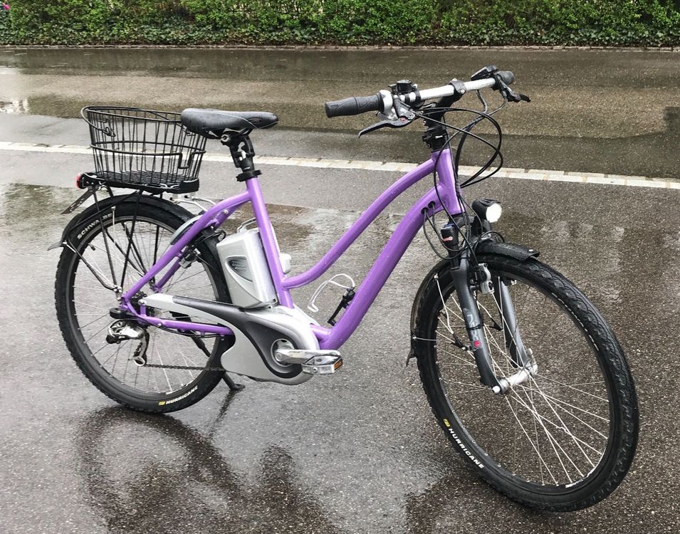 45 kmh 2 sitzer fahrrad