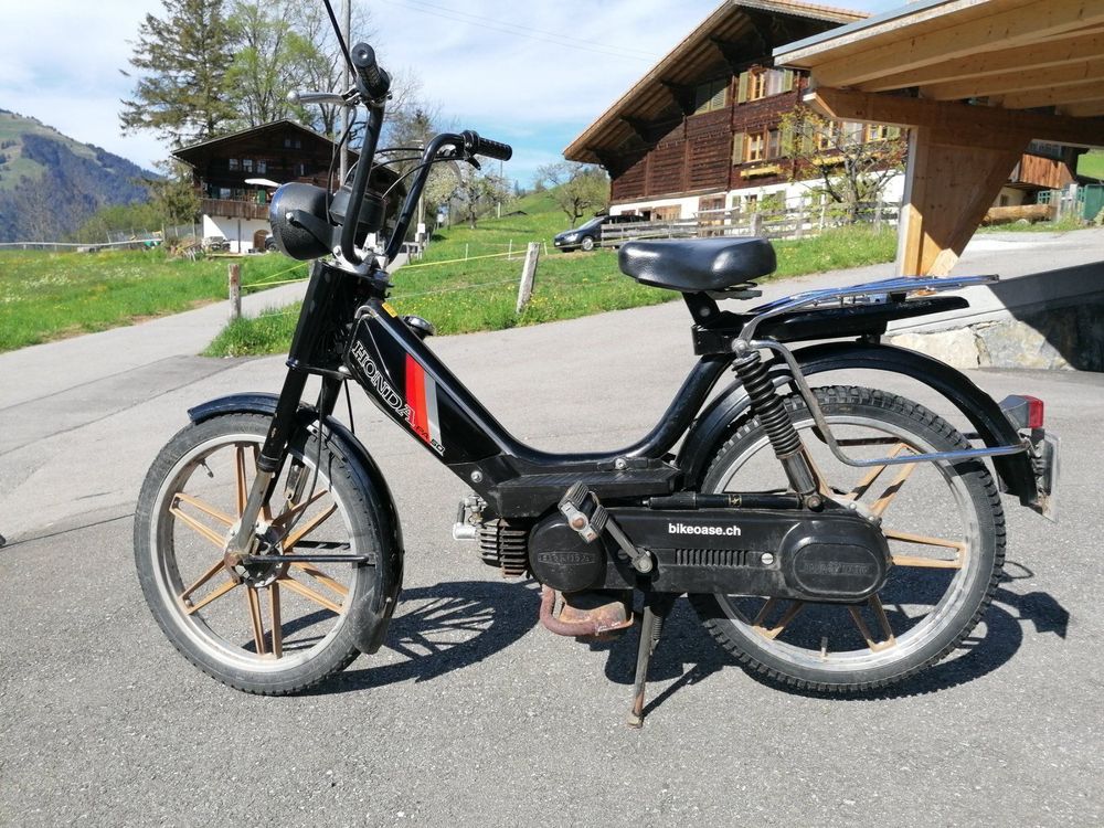 Honda pal 50