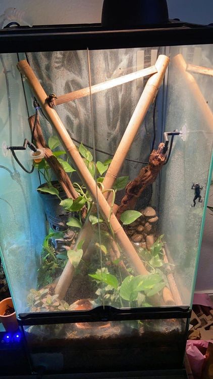 exo terra terrarium 90x45x30