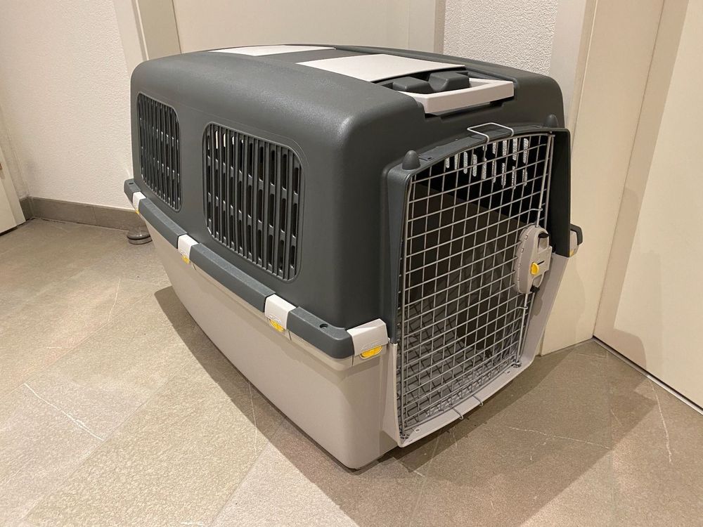 Hunde Transportbox Trixie 6 Kaufen auf Ricardo