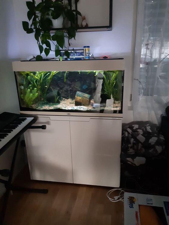 Aquarium Juwel 200l, mit LED Beleuchtung Kaufen auf Ricardo