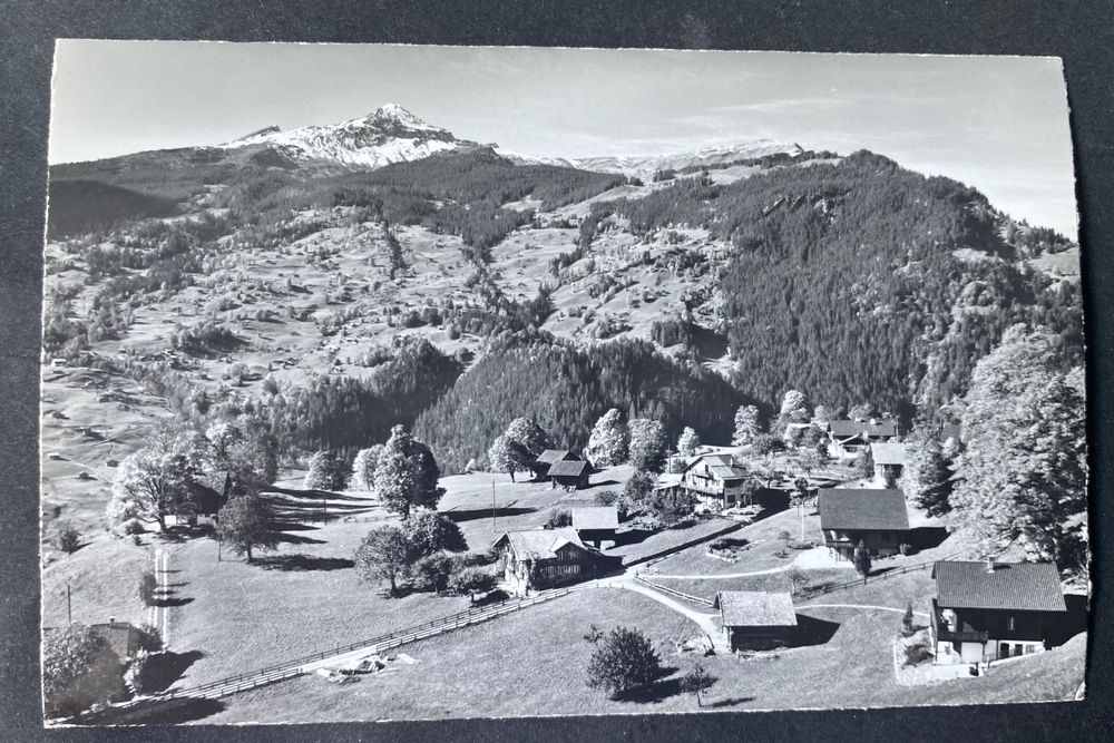Grindelwald am Stutz Chalets/ Männlichen Kaufen auf Ricardo