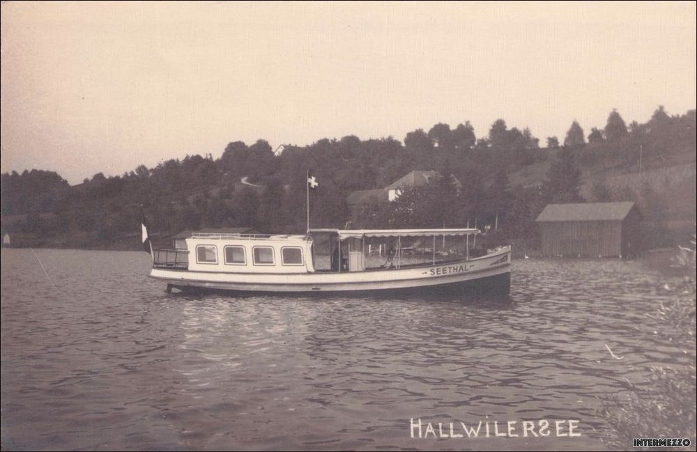 motorboot mieten hallwilersee