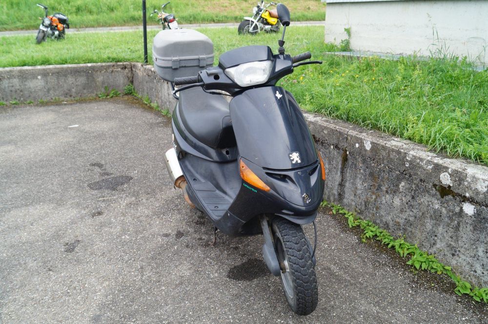 Peugeot Zenith 50 Roller Scooter 0107) Kaufen auf Ricardo