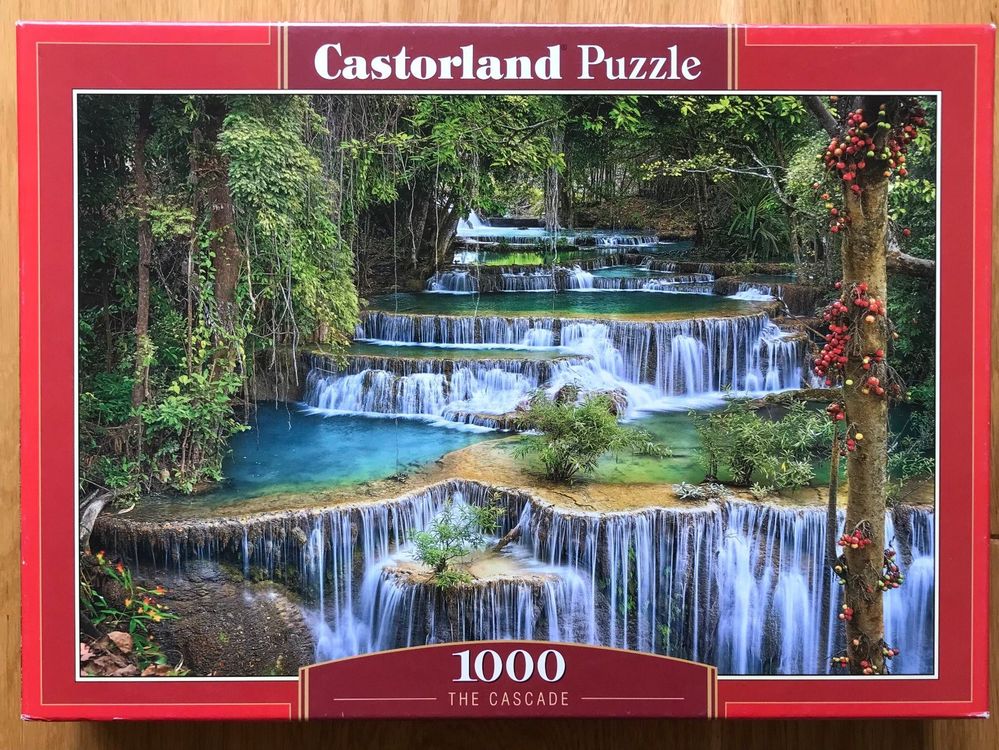 Castorland Puzzle 1000 Teile | Kaufen auf Ricardo