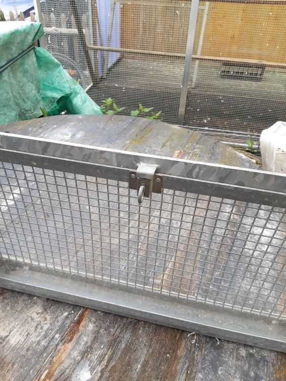 Kellerfenster verzinkt | Kaufen auf Ricardo