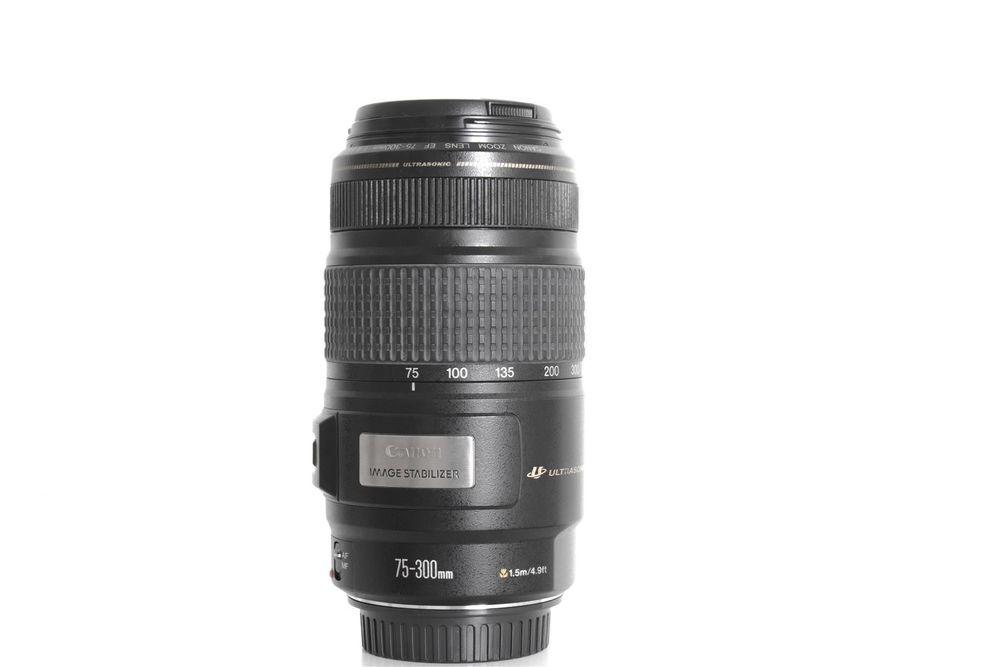 Canon Ef 75 300mm F 4 0 5 6 Is Usm Kaufen Auf Ricardo