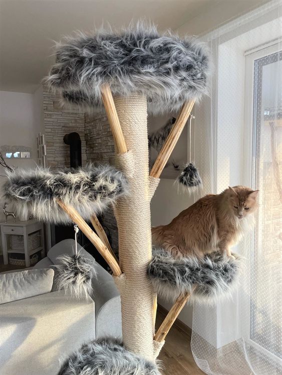 Arbre A Chat En Bois Naturel Artisanat D Acheter Sur Ricardo