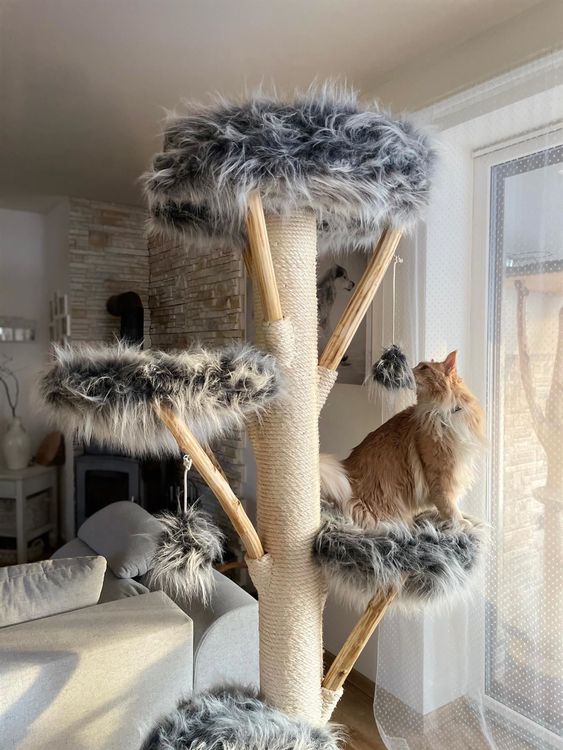 Arbre A Chat En Bois Naturel Artisanat D Acheter Sur Ricardo