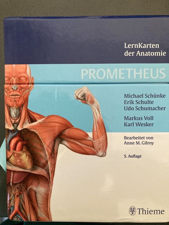 Lernkarten Der Anatomie Prometheus Kaufen Auf Ricardo