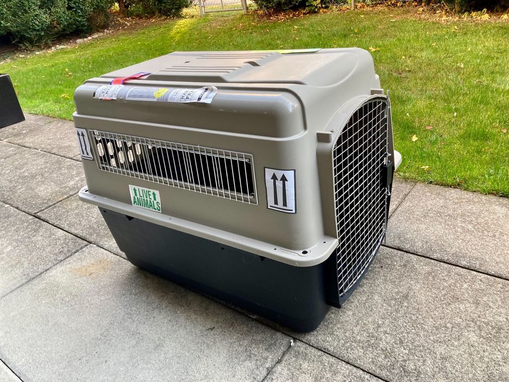 Hundebox IATA approved Dog Kennel Acheter sur Ricardo