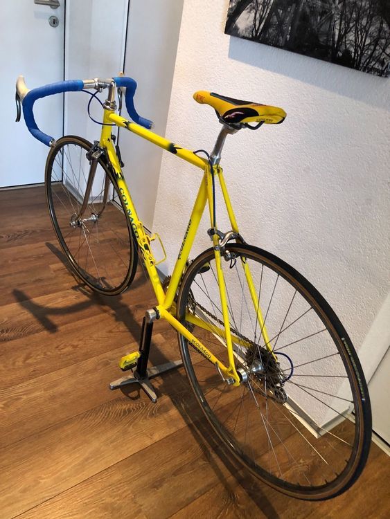 colnago rennrad gelb