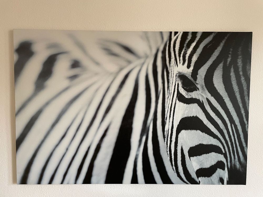 Bild Zebra von IKEA 118x78 Kaufen auf Ricardo