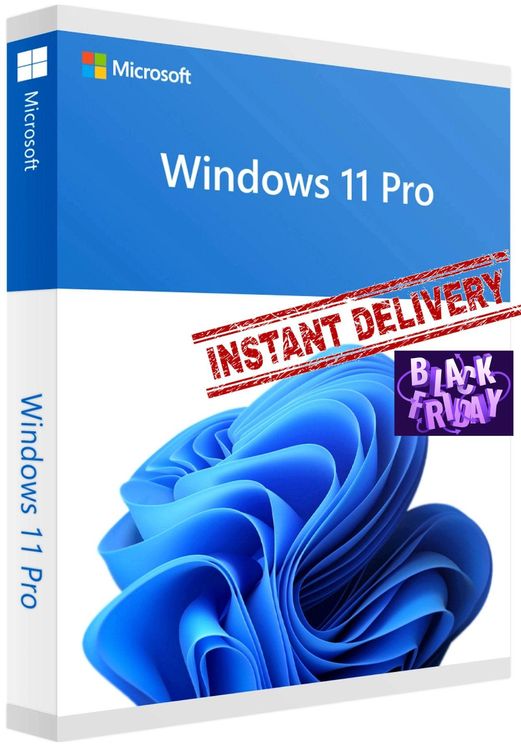 Microsoft Windows 11 Pro Vollversion key 1