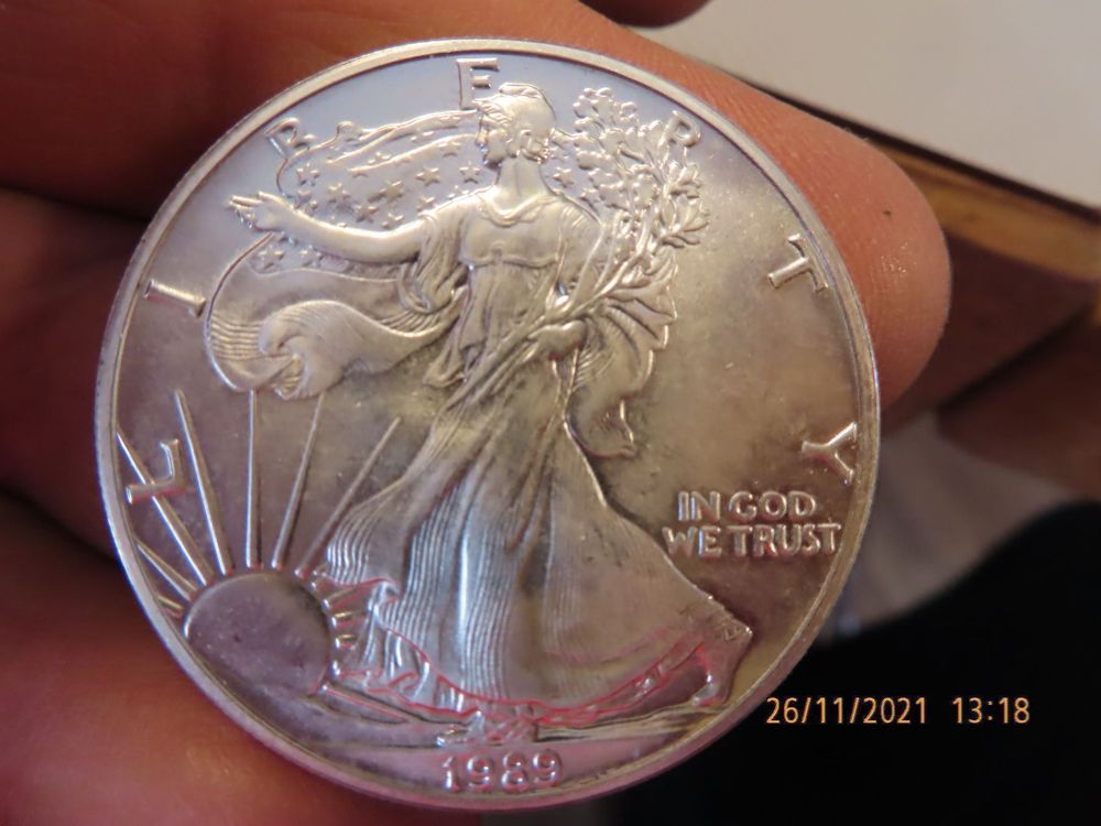 Silberdollar1989  1 Unze 1