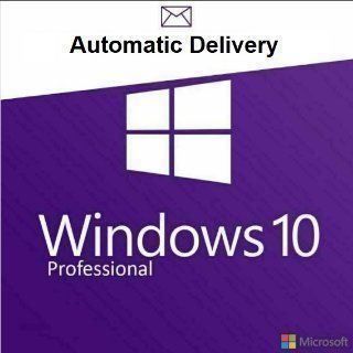 Windows 10 Professional 1