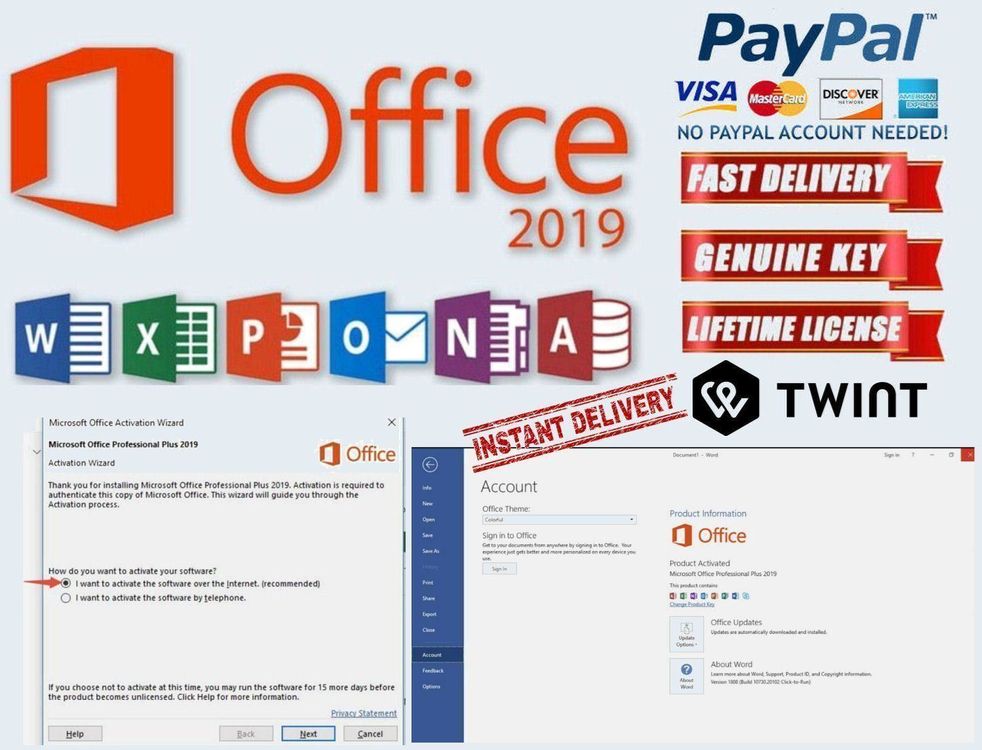 Microsoft Office 2019 Professional Plus 1