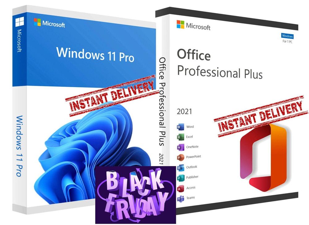Windows 11 Pro und Office 2021 Pro Plus 1