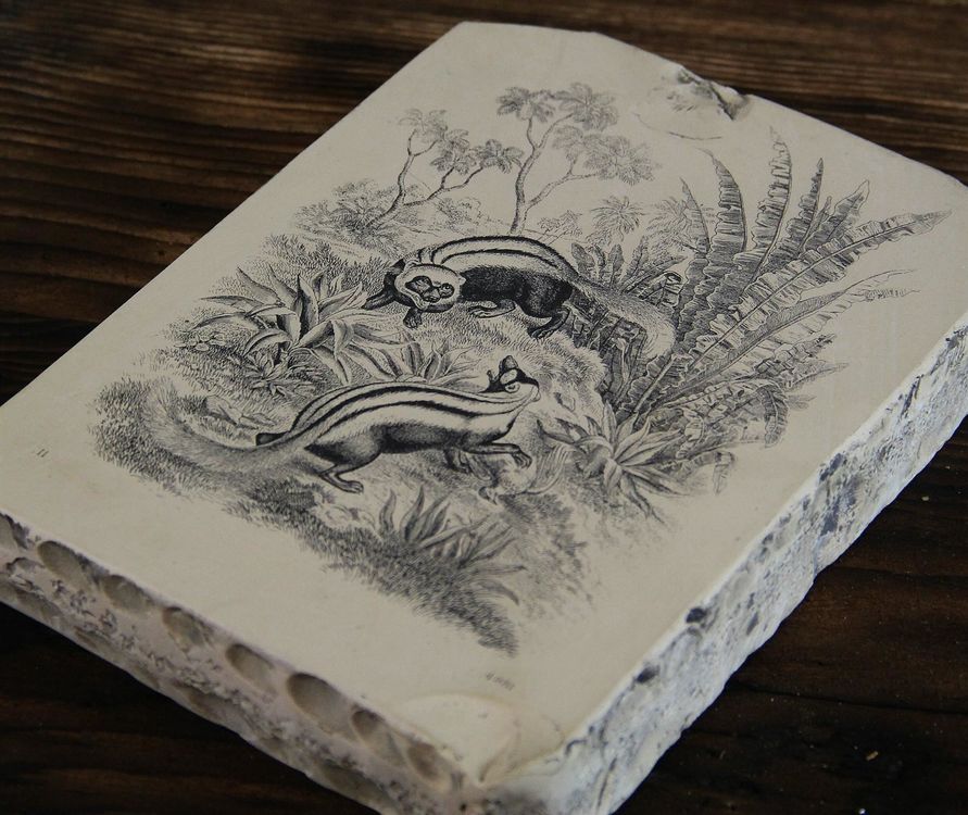 Lithostein, Lithographiestein | Kaufen auf Ricardo