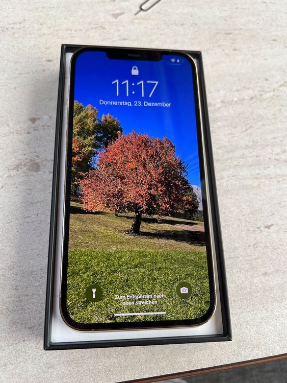 iPhone 12 pro max gold 256gb Kaufen auf Ricardo
