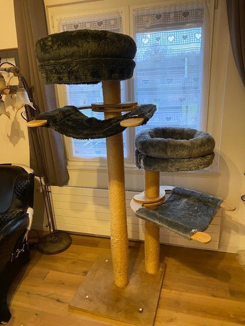 Arbre A Chats Tres Solide Tout En Bois Kaufen Auf Ricardo