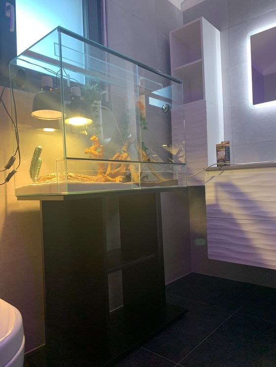 TERRARIUM + meuble + accessoires Kaufen auf Ricardo