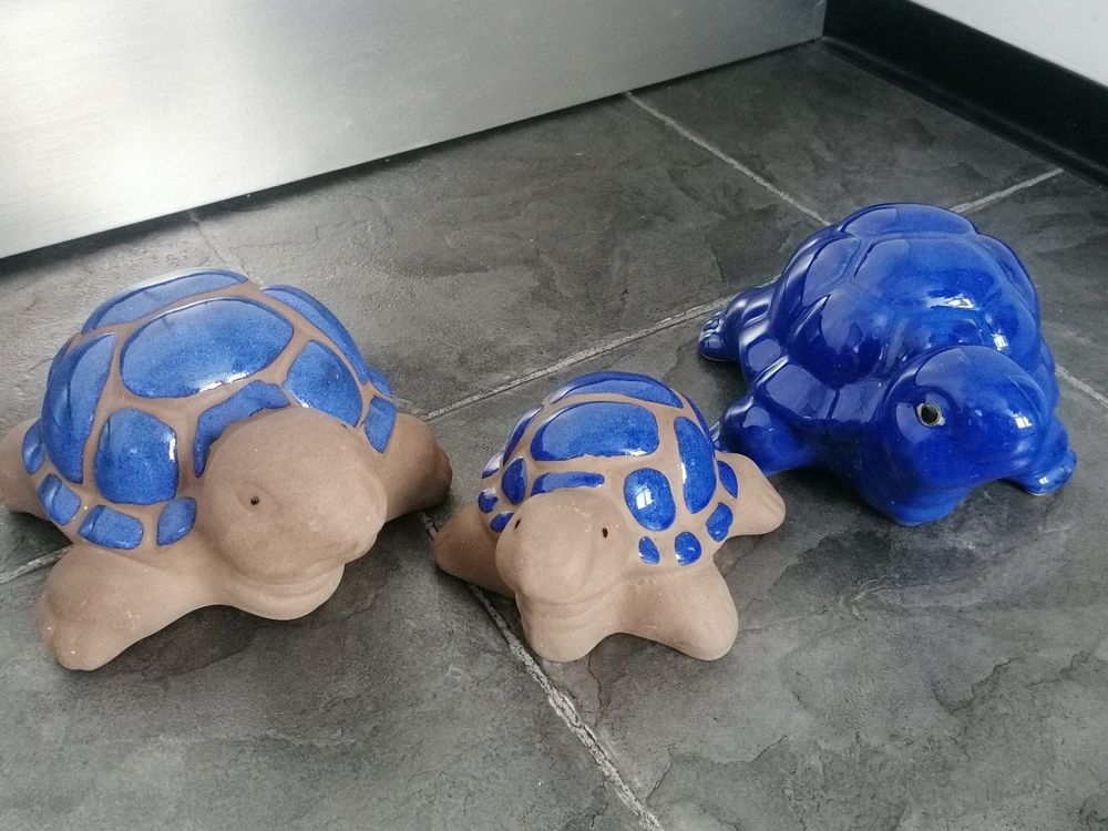 Schildkröten Familie 1