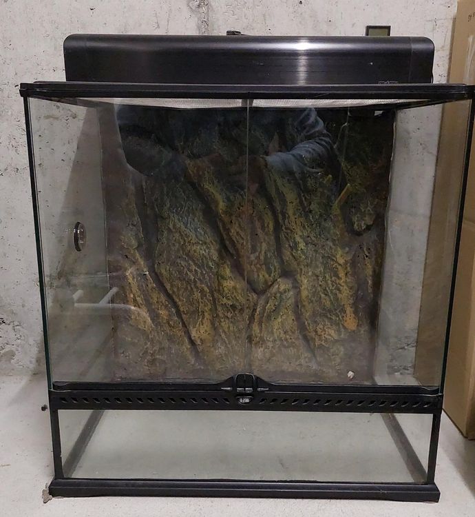 exo terrarium kaufen