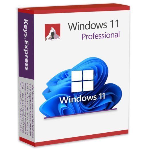 Windows 11 Pro Product Key 1