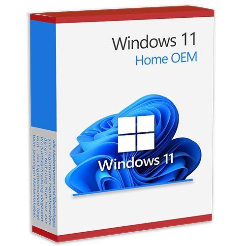 Windows 11 Home OEM 1