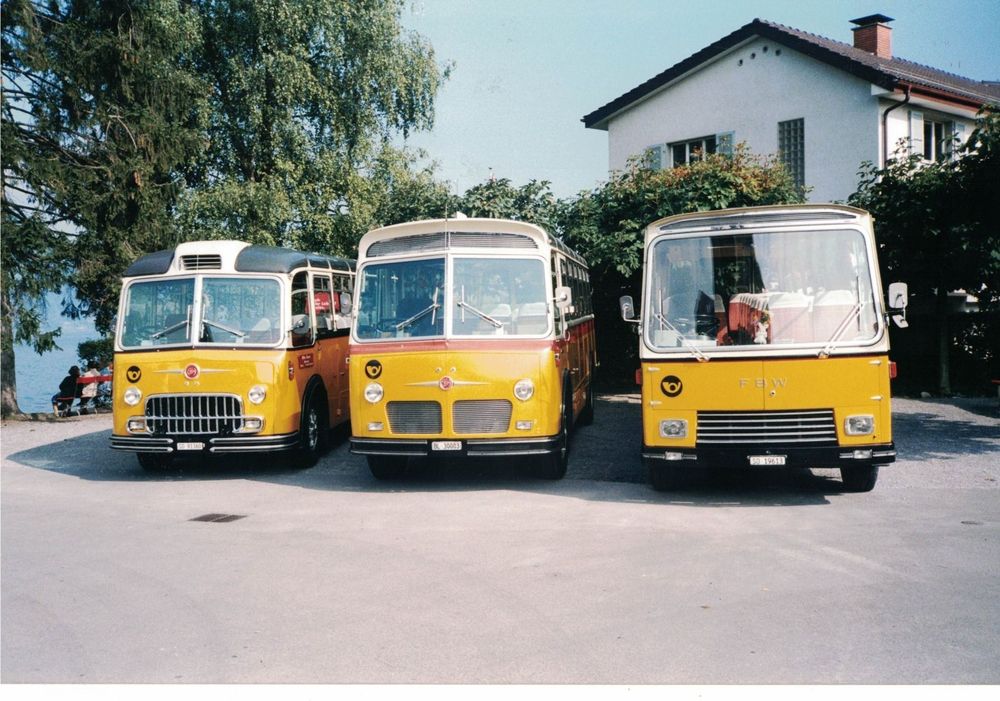 FBW Postautos Kaufen auf Ricardo