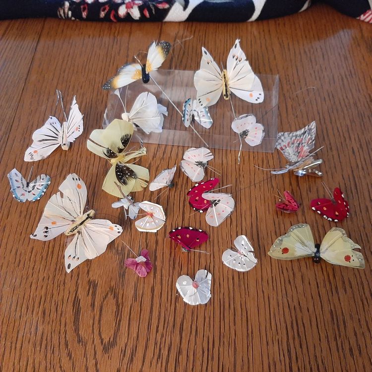 Schmetterling im Glas zum Basteln/Deko | Kaufen auf Ricardo
