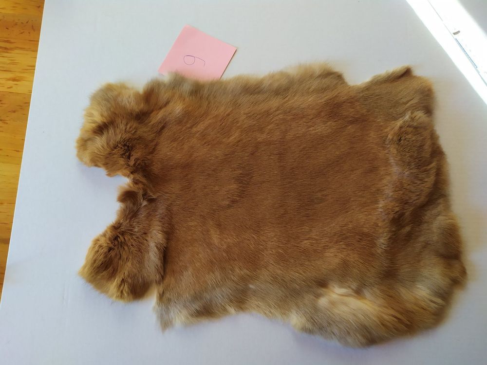 Hasenfell Kaninchenfell Kaufen auf Ricardo