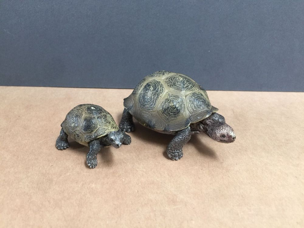Schleich Riesenschildkröte Schildkröte | Kaufen auf Ricardo