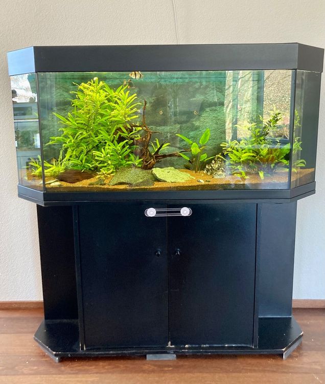 260 Liter Aquarium | Kaufen auf Ricardo
