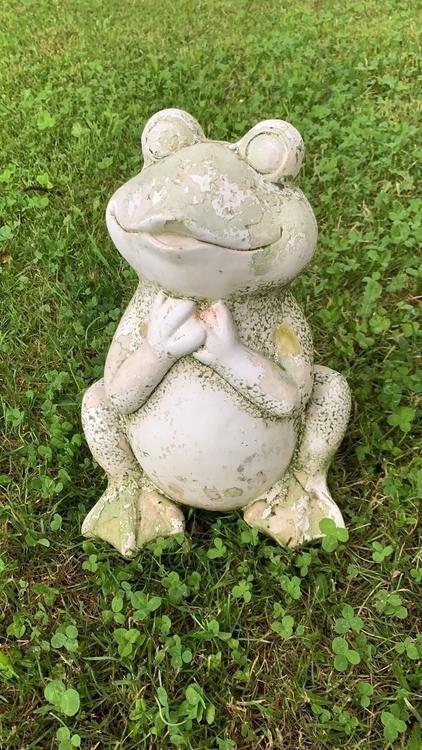 Frosch Figur für Ihren Garten Acheter sur Ricardo