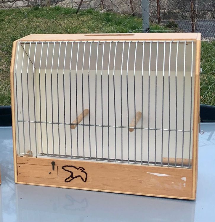 Cage Oiseaux Kaufen Auf Ricardo