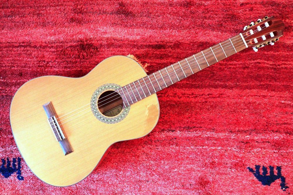 Guitare classique Walden Concorda new 1