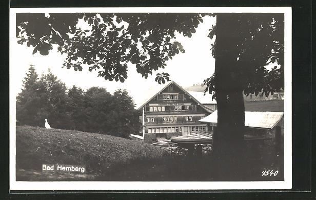 Ak Bad Hemberg Gasthaus Bad Zur Traube Kaufen Auf Ricardo