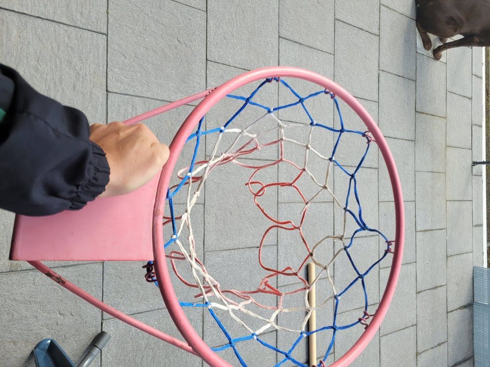 Basketball Korb zum Aufhängen Kaufen auf Ricardo