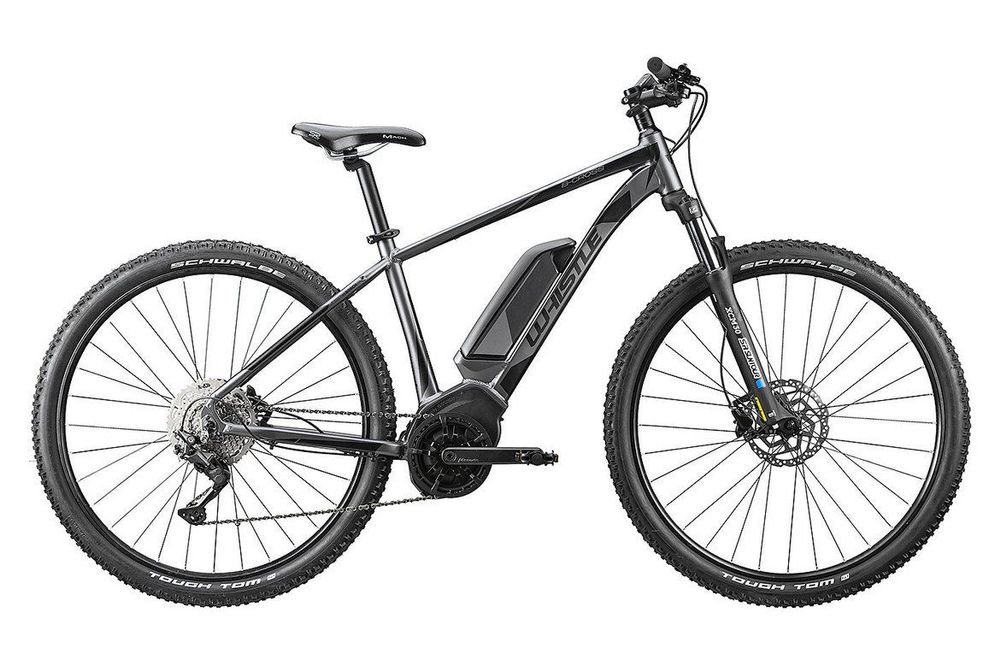 E BIke Whistler | Comprare su Ricardo
