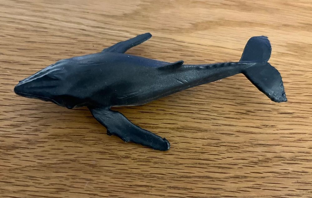 Tonie „Was ist was - Wale & Delfine“ | Kaufen auf Ricardo