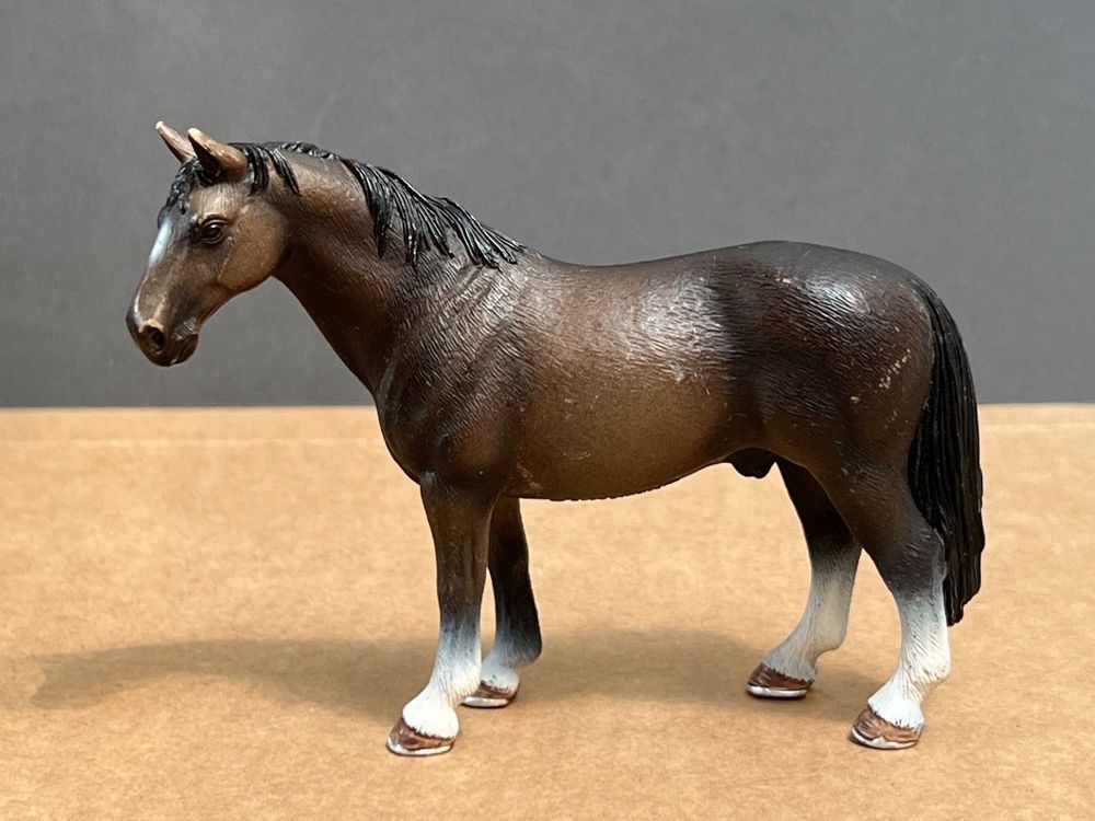 Schleich Pferd Hannoveraner Hengst 13649 | Kaufen auf Ricardo