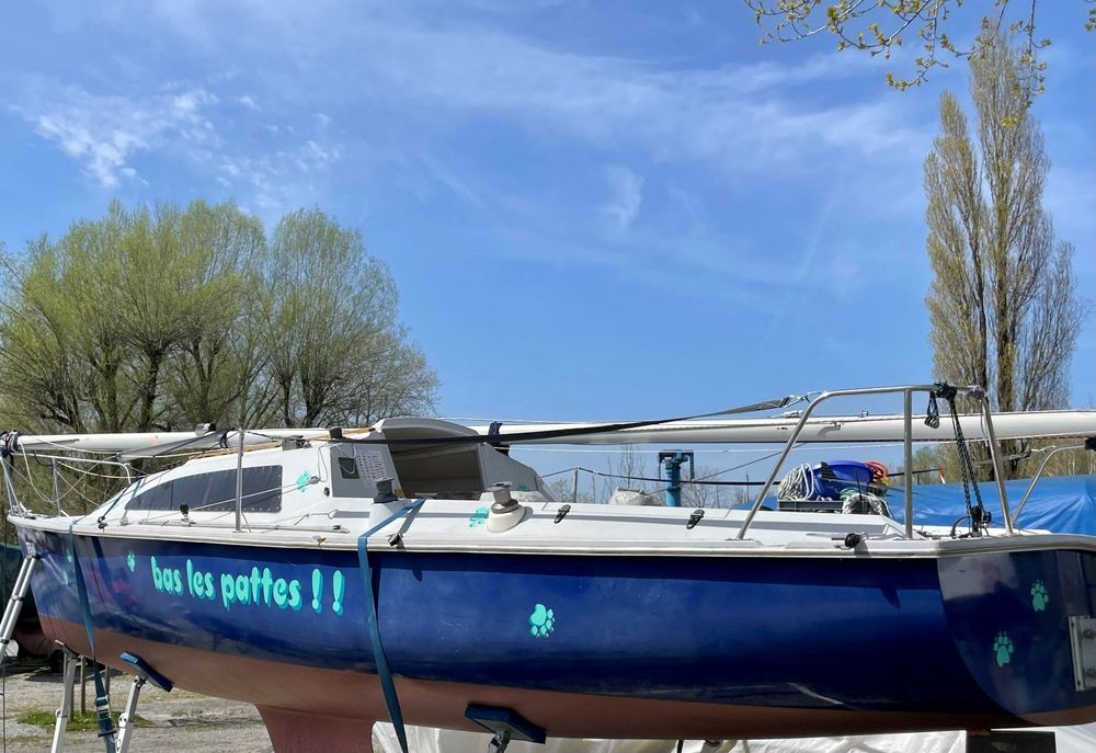 segelboot surprise kaufen