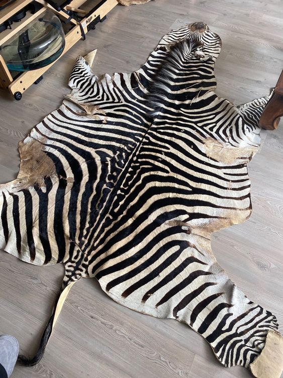 Zebra Fell Teppich echt | Kaufen auf Ricardo
