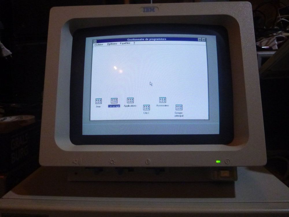 IBM PS/1 Monitor | Kaufen auf Ricardo